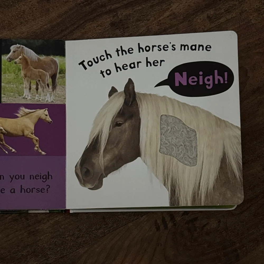 Noisy Farm Touch and Feel Sound Book
